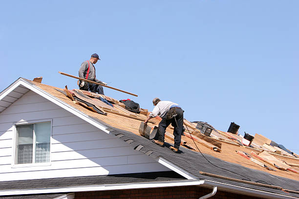 Best Roof Moss and Algae Removal  in , MO